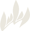 山蛮